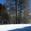 Vue depuis le studio, la tranquilité
