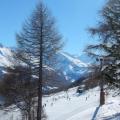 Les pistes de Thyon - Les Collons